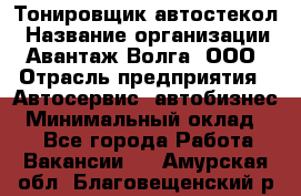 Тонировщик автостекол › Название организации ­ Авантаж-Волга, ООО › Отрасль предприятия ­ Автосервис, автобизнес › Минимальный оклад ­ 1 - Все города Работа » Вакансии   . Амурская обл.,Благовещенский р-н